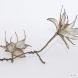 Acer leaves and branch - Walk the Seasons exhibition - 'Spring' 